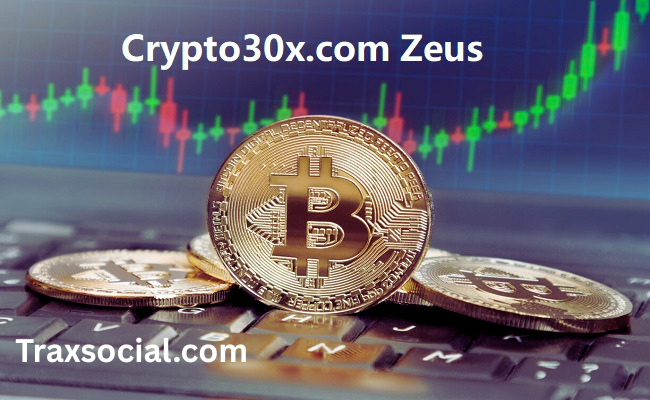 crypto30x.com