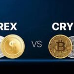 crypto and forex trading